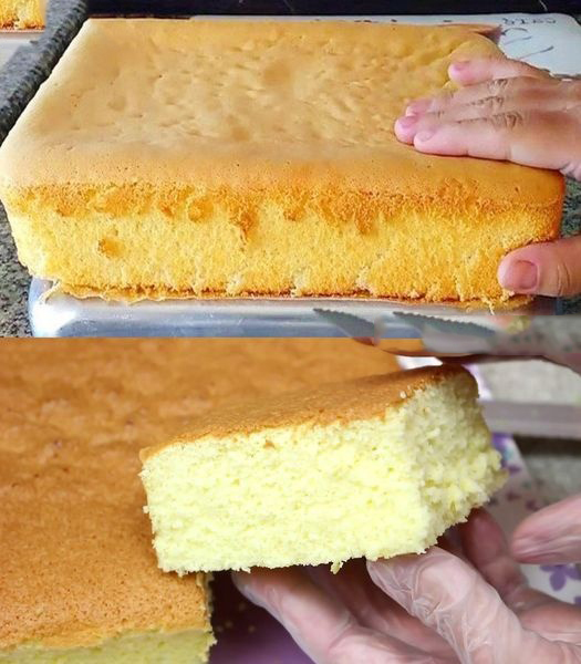 1683837896 340248577 1902097930148532 6758990568486338676 n kopya