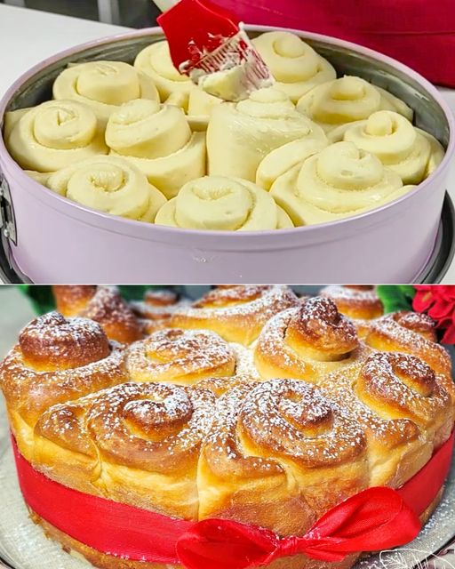 355081596 161789490218942 287750084292662930 n