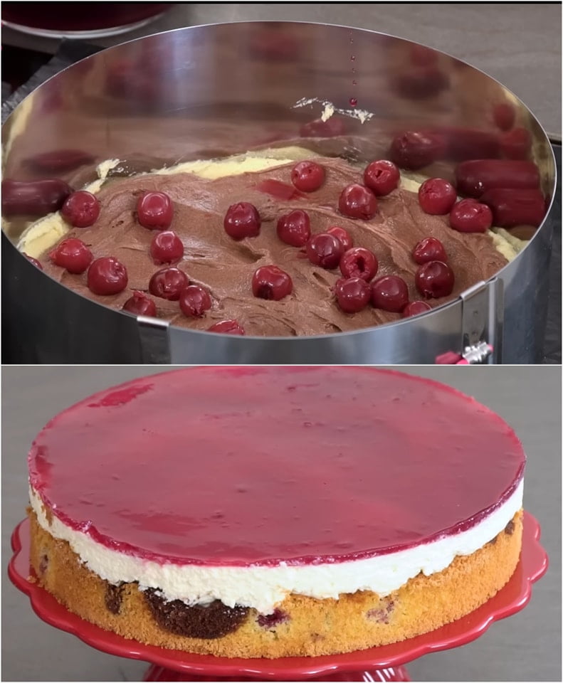 366261392 846653540155956 8463715624554728820 n