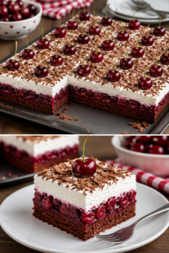 Saftiger Schwarzwälder Kirsch-Blechkuchen mit Schokoladenboden, fruchtiger Kirschfüllung, luftiger Sahneschicht und Schokoladenraspeln, dekoriert mit frischen Kirschen.
