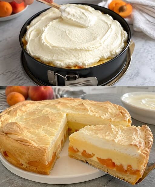 Aprikosen-Pfirsichkuchen mit Vanillepudding, cremigem Sauerrahm-Guss und fruchtiger Füllung