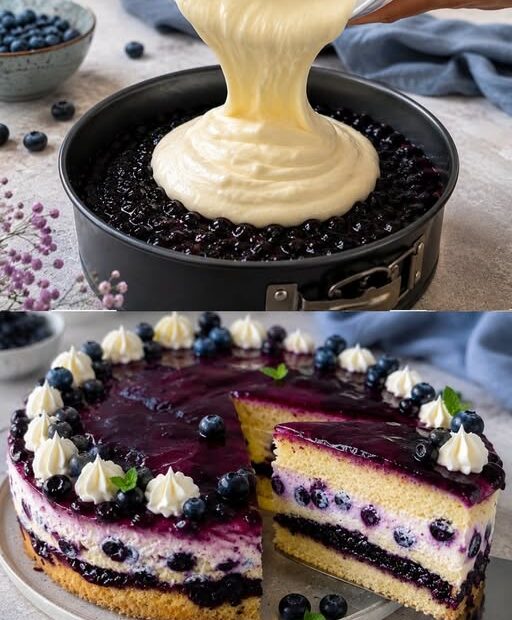 Heidelbeer-Schmand-Torte mit Biskuit, cremiger Schmandfüllung, Heidelbeerschicht und frischen Blaubeeren