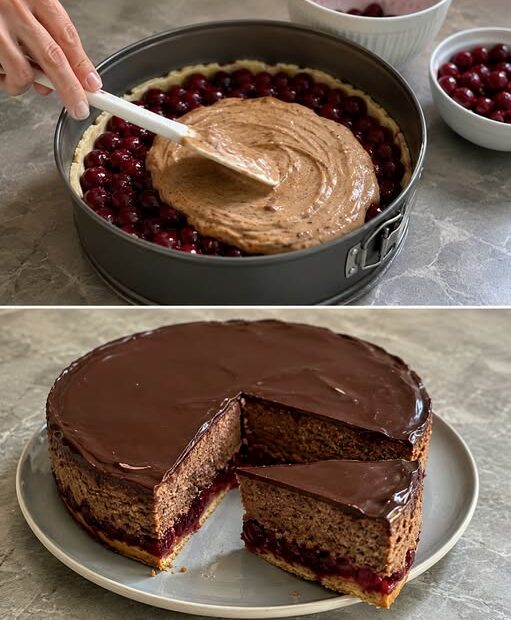 Schwiegermutterkuchen mit Sauerkirschen, Haselnüssen und Schokoladenüberzug