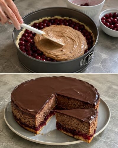 Schwiegermutterkuchen mit Sauerkirschen, Haselnüssen und Schokoladenüberzug